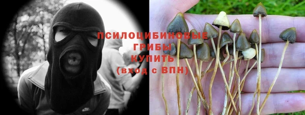 прущие крисы Аркадак