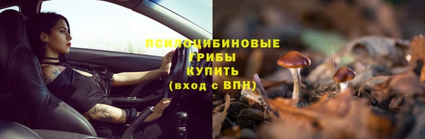 прущие крисы Аркадак