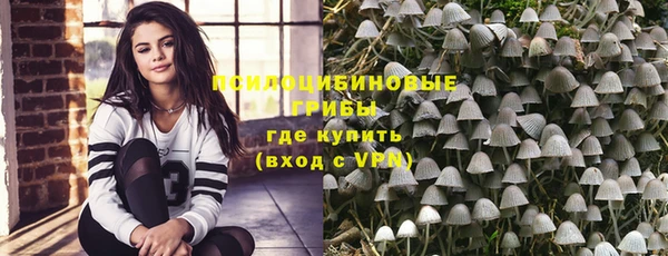 прущие крисы Аркадак