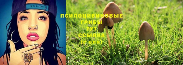 кристаллы Арсеньев
