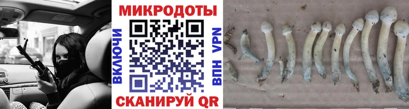 Псилоцибиновые грибы мицелий  Городище 
